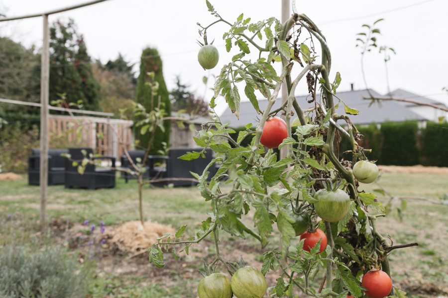 Le foyer Bois Macé et ses espaces de vie à Retiers